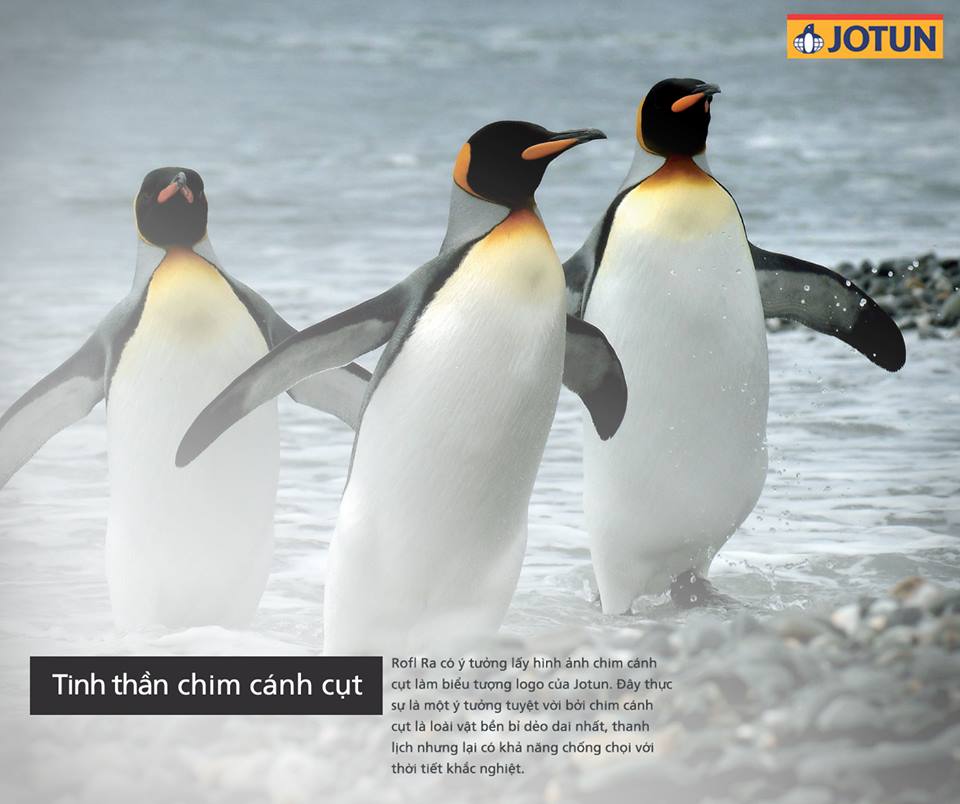 Tảng băng lớn nhất thế giới sắp va đảo cư ngụ của hàng triệu chim cánh cụt  | baotintuc.vn