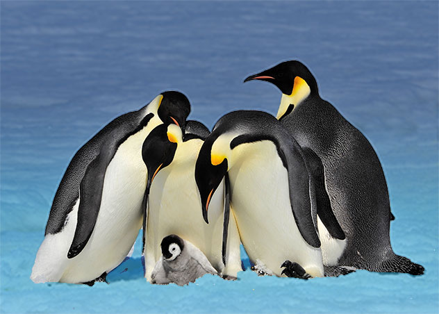 Sơn Jotun của nước nào? Sơn Jotun có tốt không?